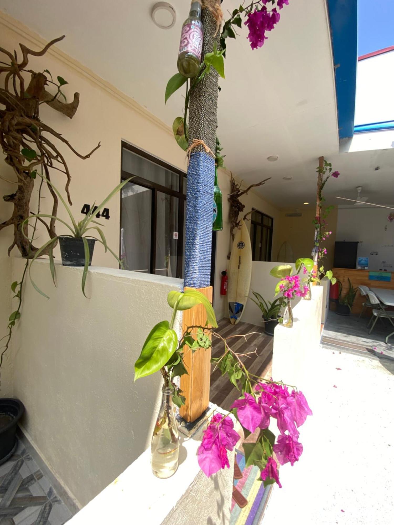 Maavaharu Guest House هيمافوشي المظهر الخارجي الصورة