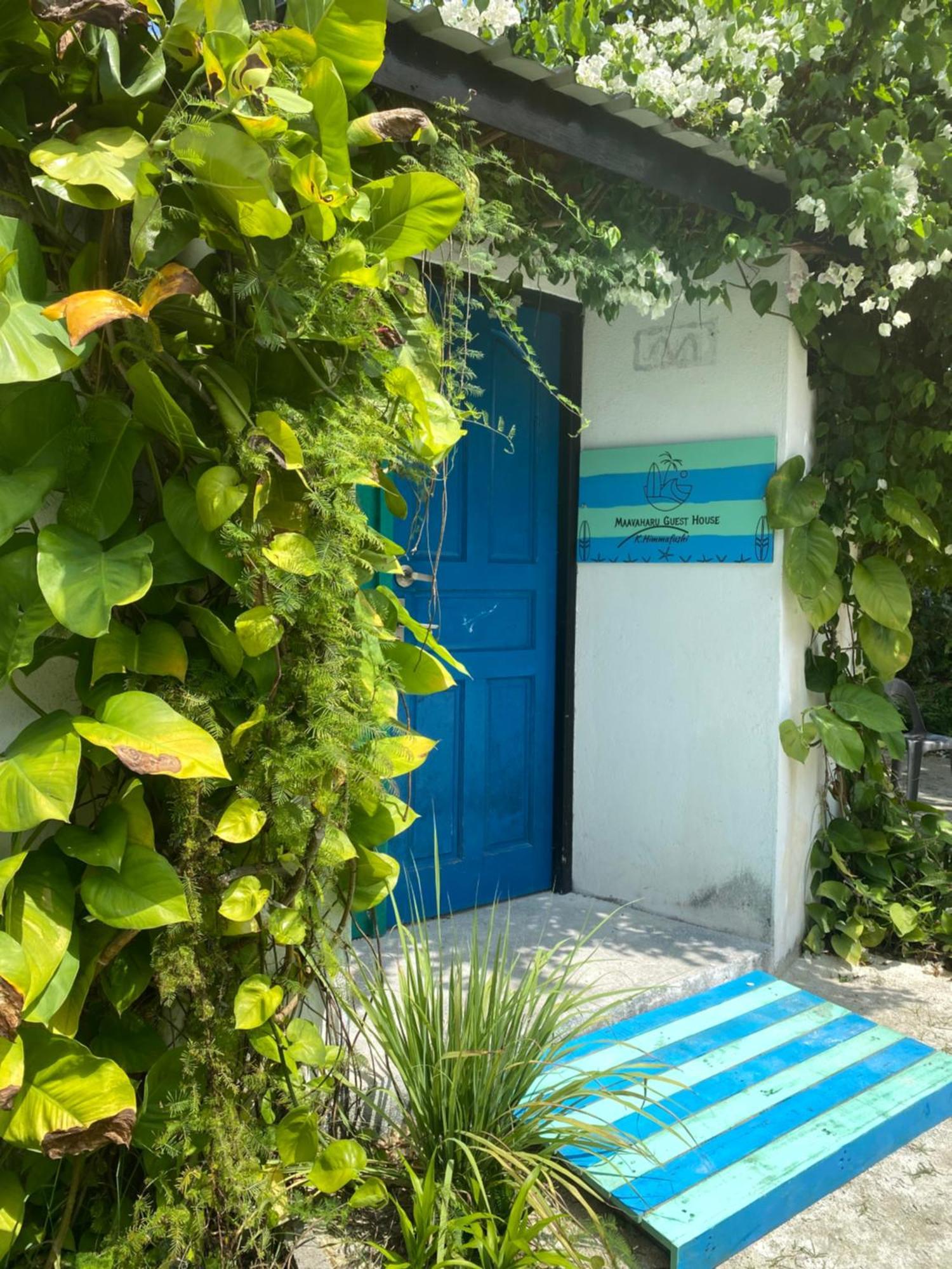Maavaharu Guest House هيمافوشي المظهر الخارجي الصورة