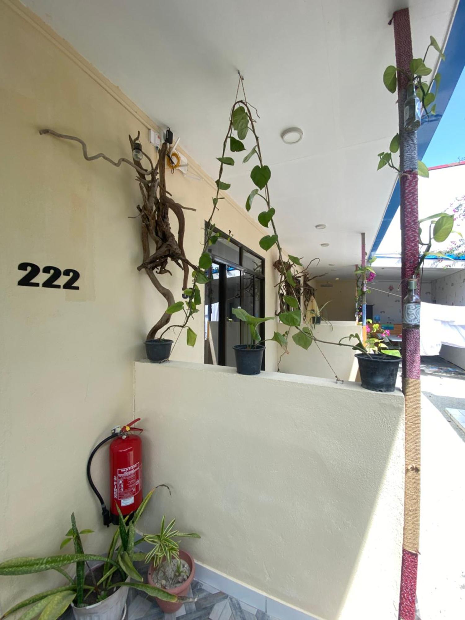 Maavaharu Guest House هيمافوشي المظهر الخارجي الصورة